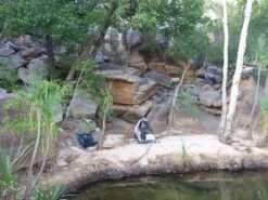 ALPS Mountaineering Lynx 1 27 ALPS Mountaineering Lynx 1 -Sierra Camp Furniture Shop 1407 Kakadu Cape York 114